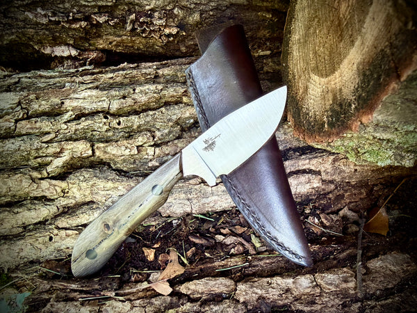 Colorado Hunter