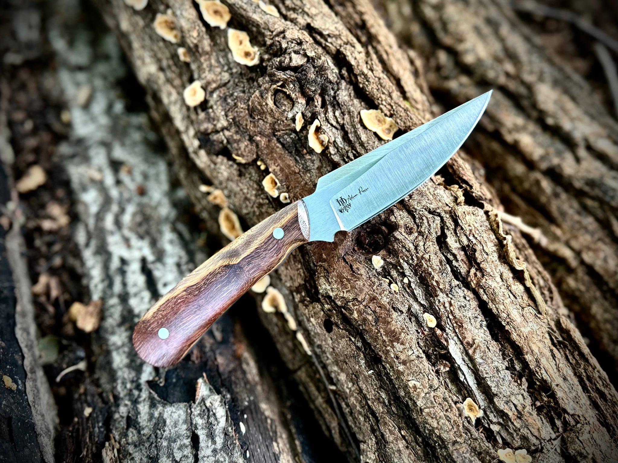Hunter - Masur Birch