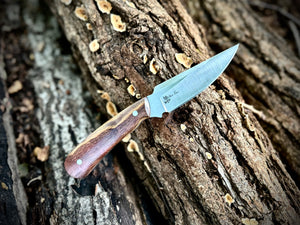 Hunter - Masur Birch