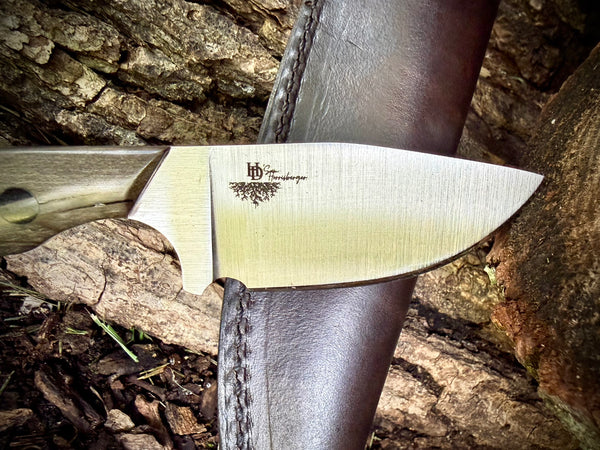Colorado Hunter