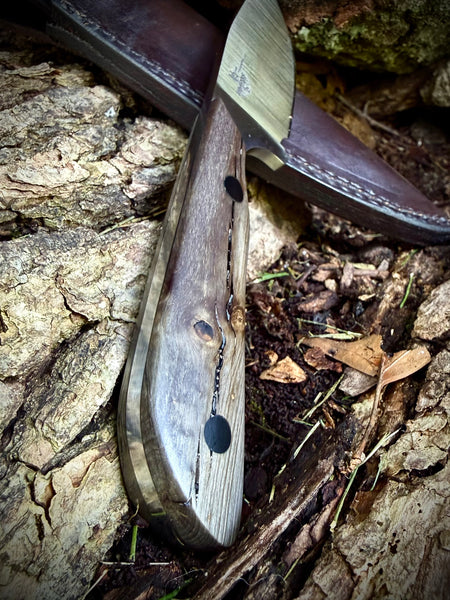 Colorado Hunter