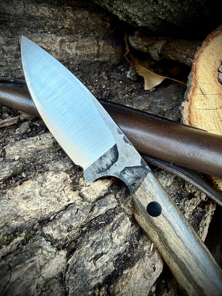 EDC with Birdseye Maple Handle (Rough Forge)
